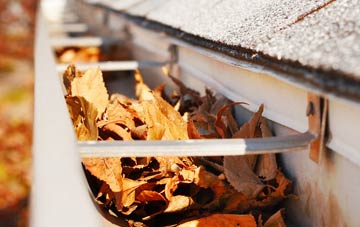 Cultra gutter cleaning companies