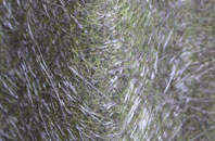 Cultra fibreglass roof work